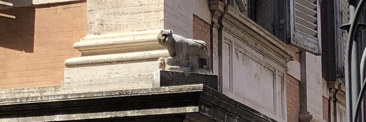 rome cat